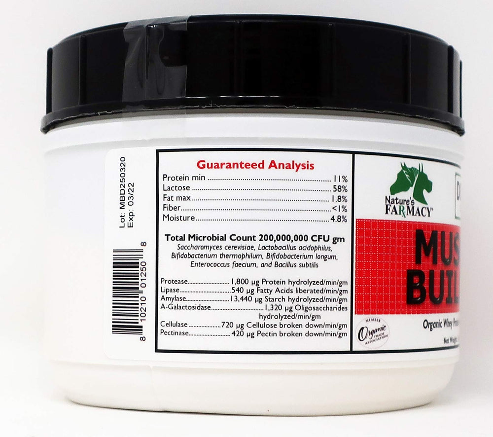 Dogzymes Muscle Builder – pot: solution protéinée digeste pour l’endurance et la récupération.