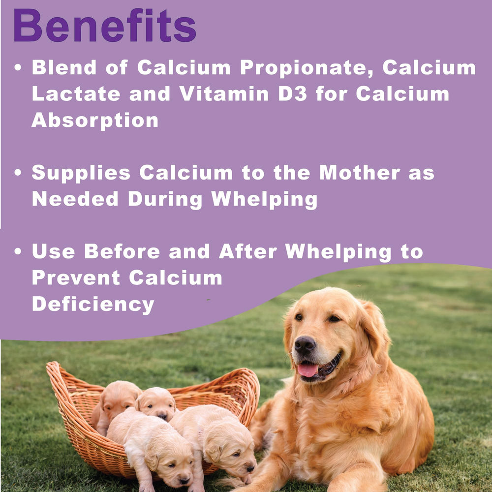 Ensemble d'ingrédients Calcium Propionate et Calcium Lactate favorisant l'absorption.