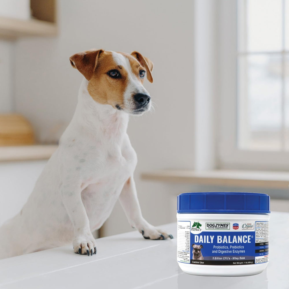 Dogzymes UFC 5 milliards par gramme, profil probiotiques puissant.