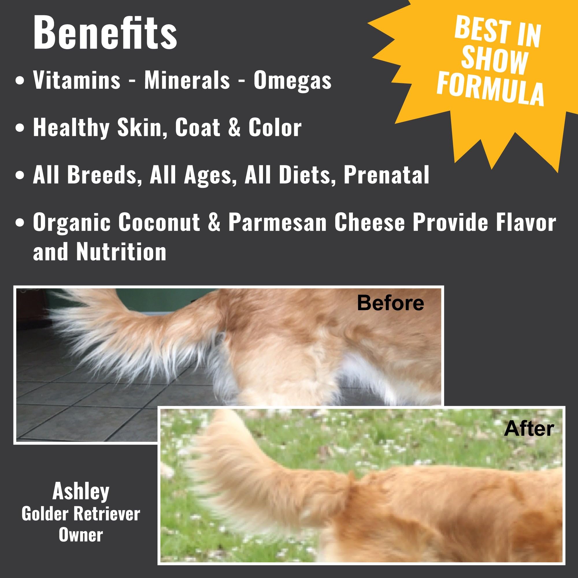 Dogzymes Ultimate sans conservateurs – formule pure pour chien