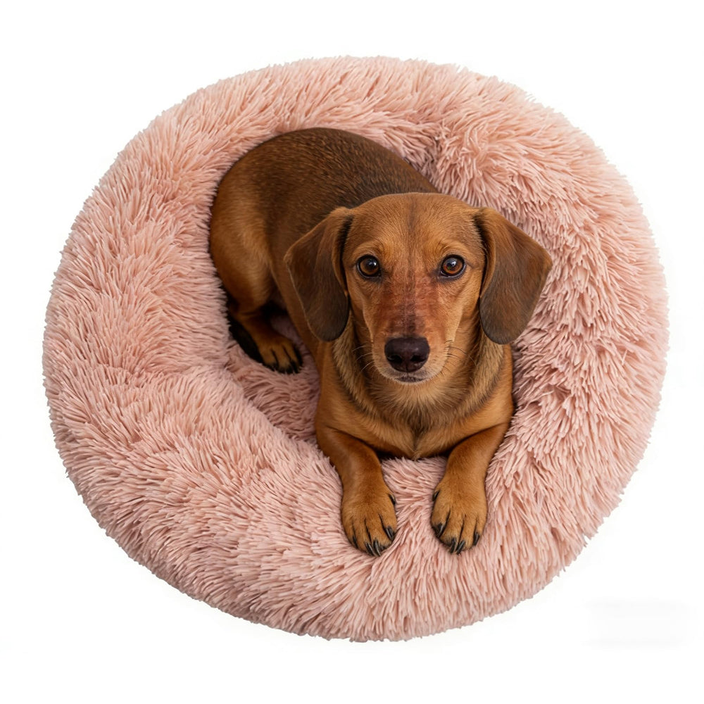 Coussin donut Doimier pour petit chien et chat, cocon apaisant et doux