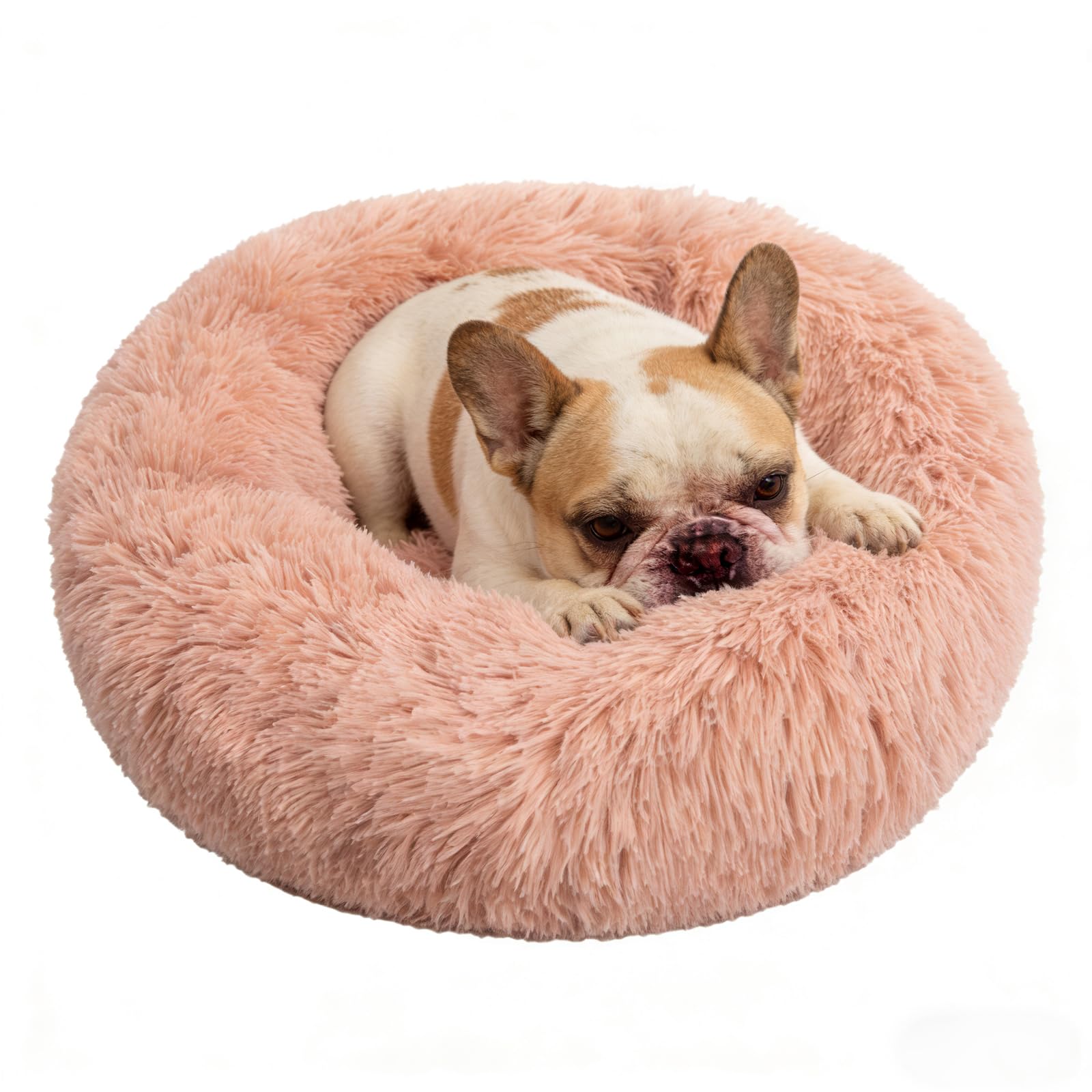 Lit en anneau Doimier pour chien moyen: soutien de la tête et cocon rassurant.
