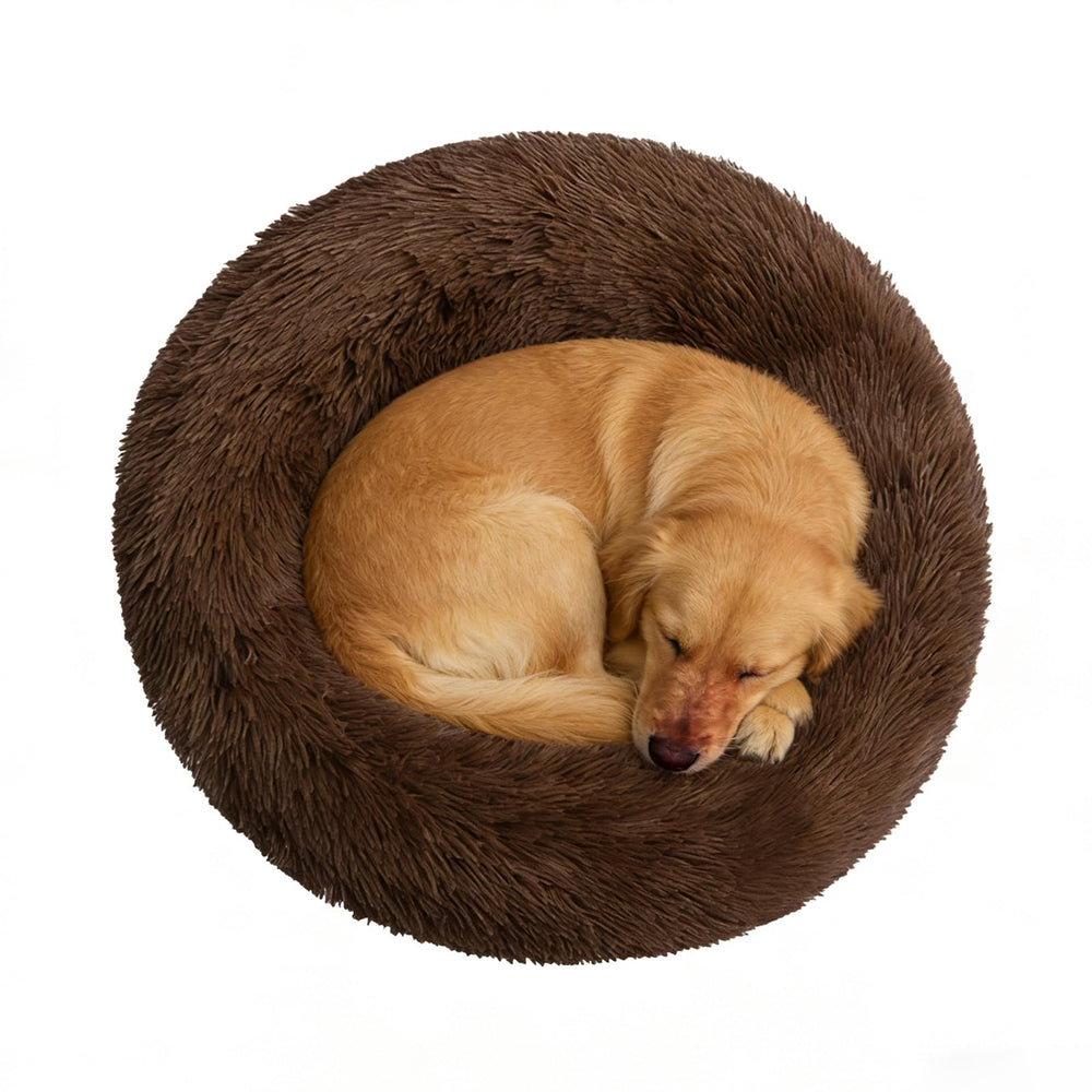Doimier lit donut chien grand cafe: confort enveloppant et soutien pour la tête.