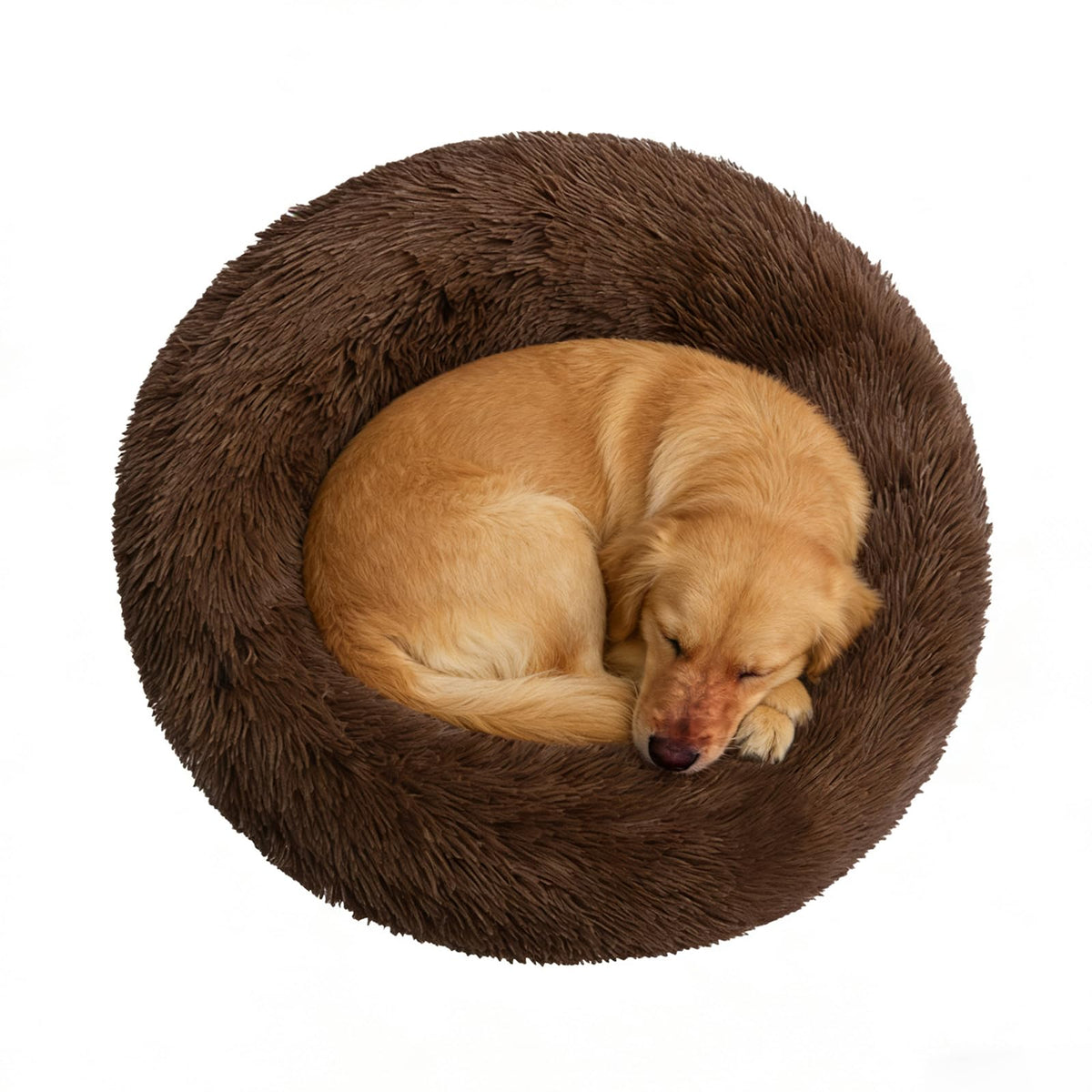Doimier lit donut chien grand cafe: confort enveloppant et soutien pour la tête.