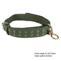DOITOOL collier toile ajustable pour cheval: sécurité et confort lors des soins.