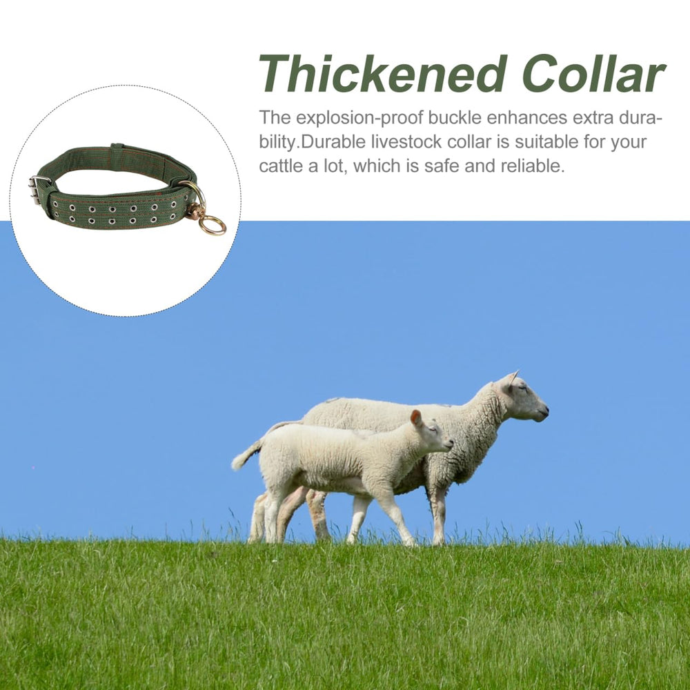 DOITOOL collier toile durable: résistance quotidienne sur la ferme.