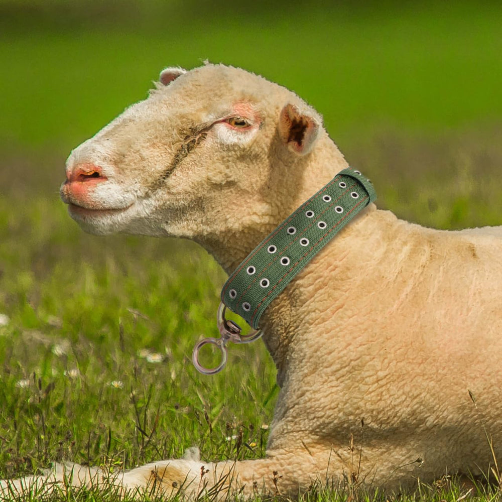 DOITOOL collier toile polyvalent: adapté à vaches, veaux et chevaux.