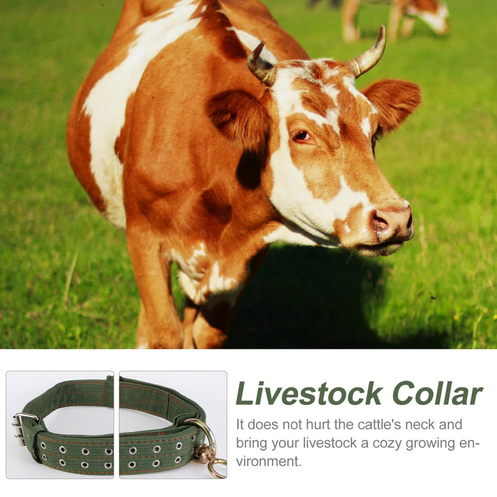 DOITOOL collier toile avec boucle de sécurité robuste: durabilité en ferme.