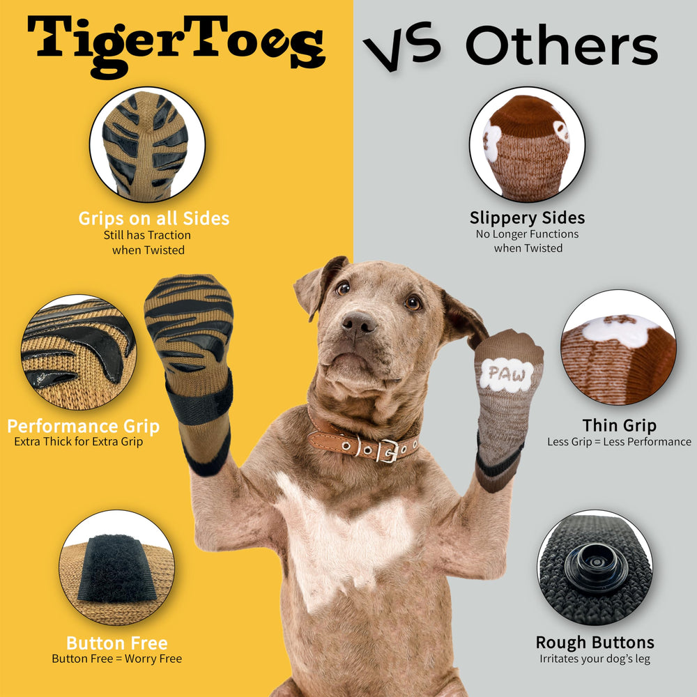 Chien senior portant les TigerToes pour confort et stabilité.