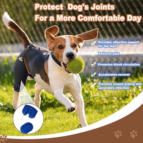 Airbag genou chien droite par Dollephi équilibre la pression et soutien uniforme