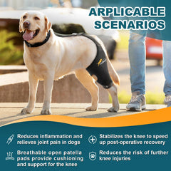 Orthèse genou-chien gauche antiderapante pour activites quotidiennes.
