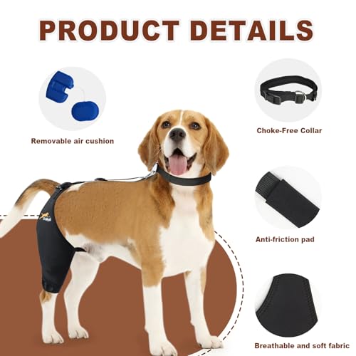 Dollephi compression genou chien stimule la circulation et aide la récupération