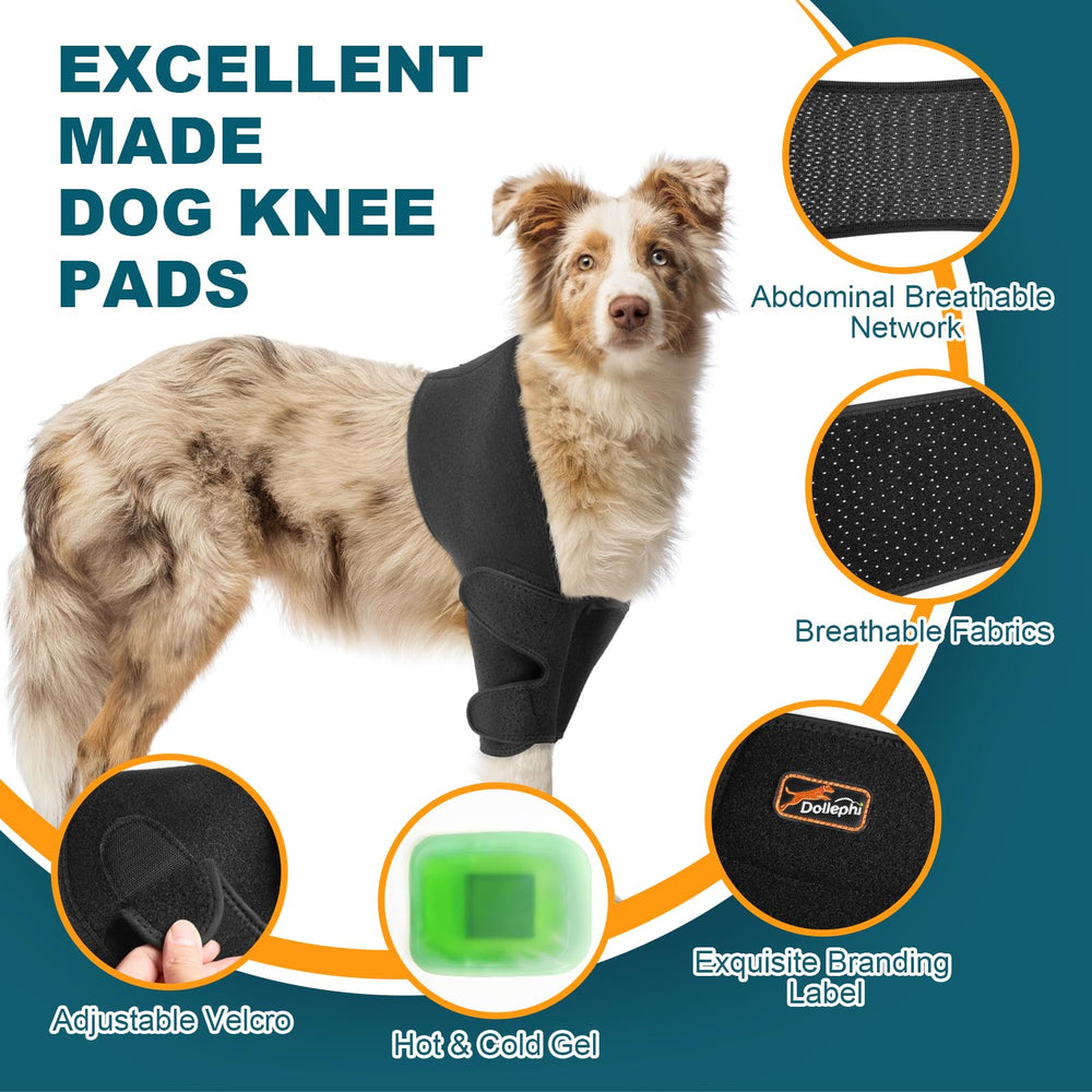 Dollephi design scientifique: maintien adapté à la morphologie canine.
