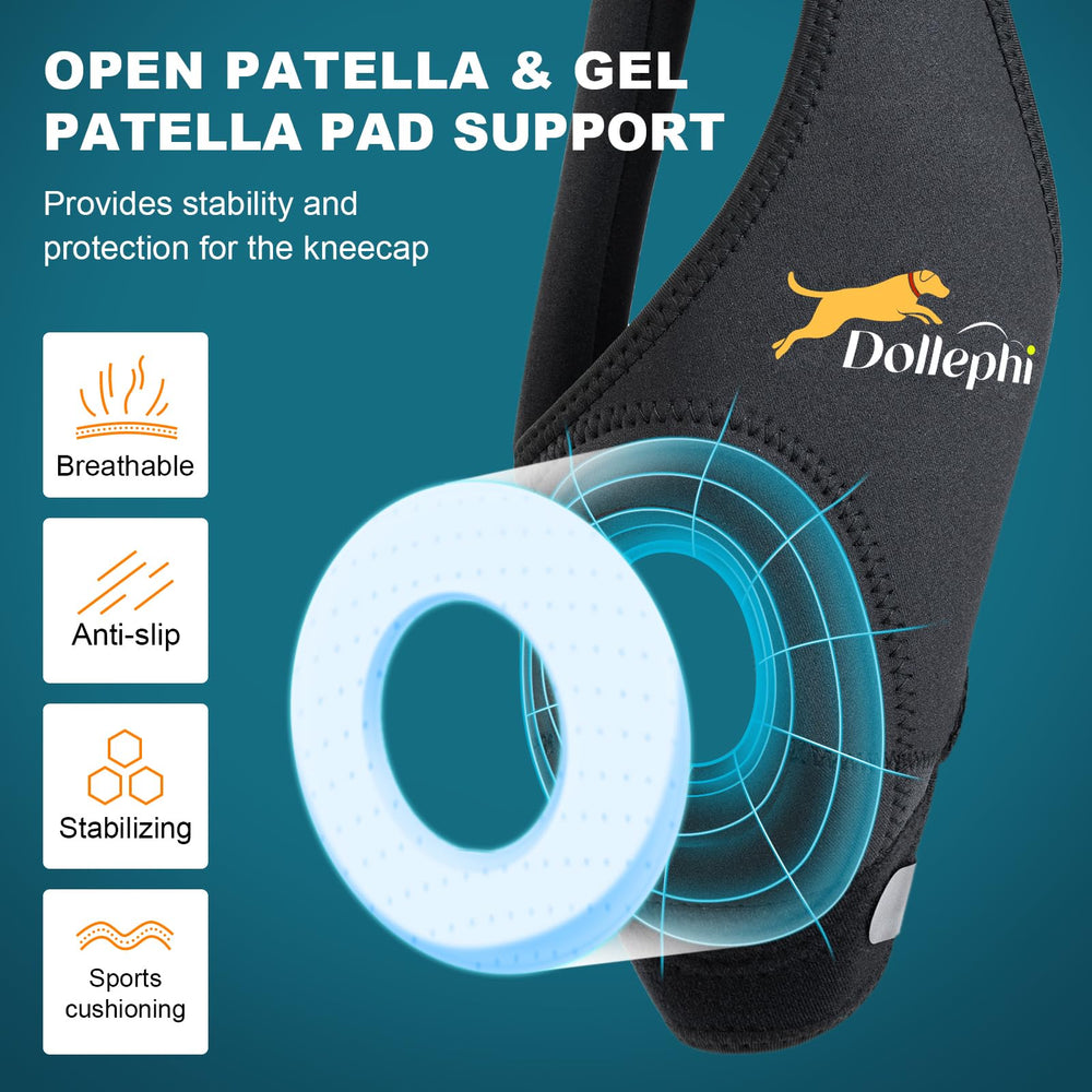 Dollephi genou-chien gauche design anatomique et mise en place facile.