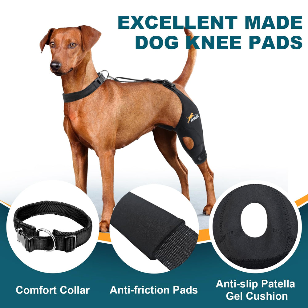Support articulations durable pour genou-chien gauche lors des sorties.