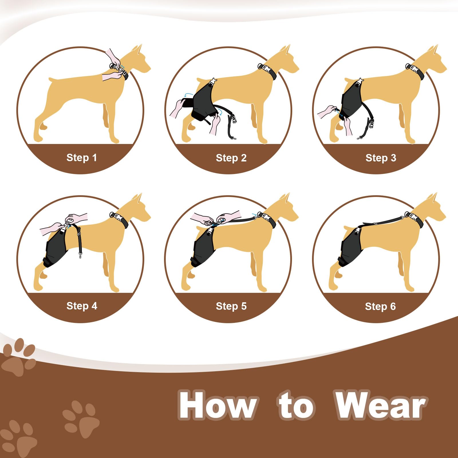 Dollephi genou pour chien, guide des tailles et ajustement précis