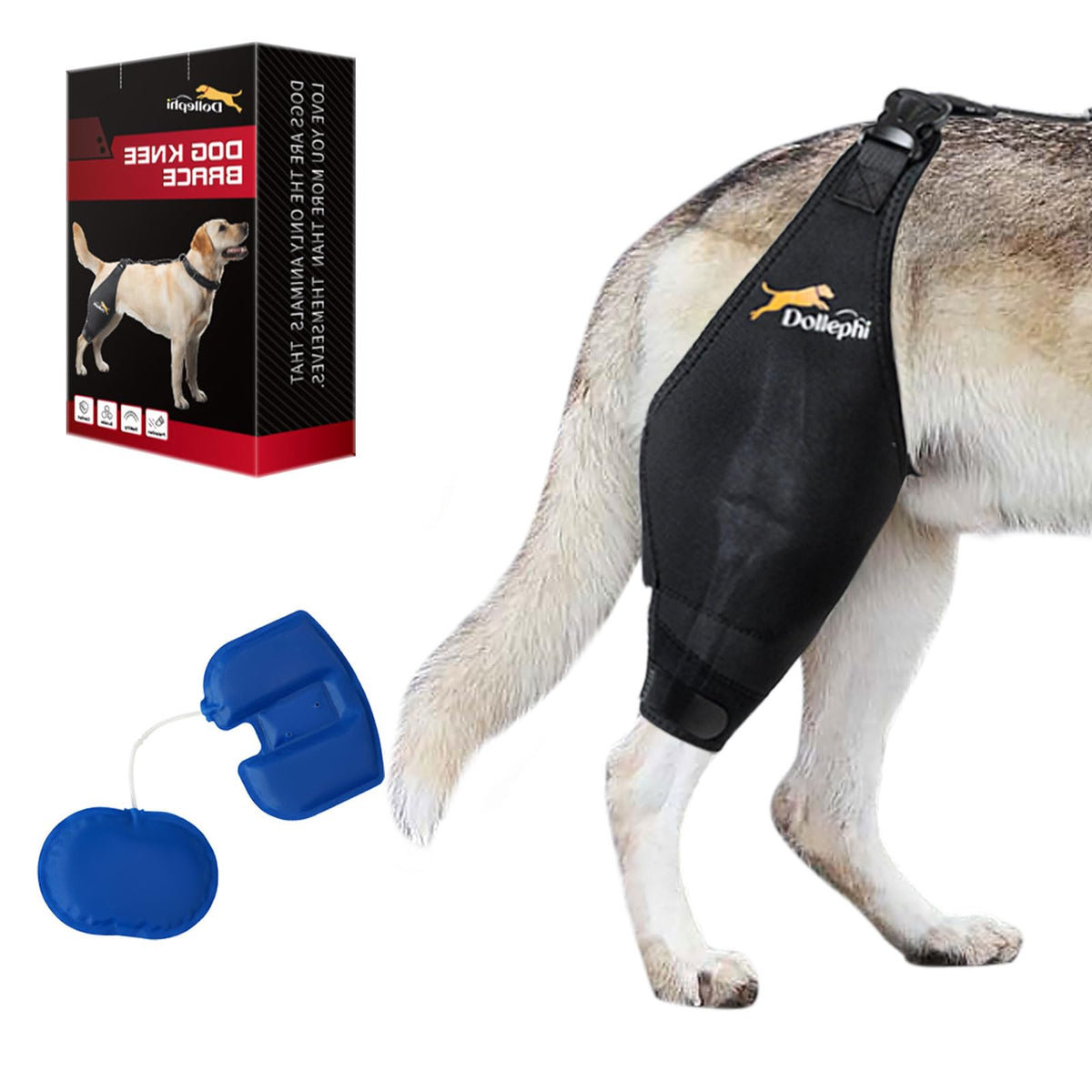 Dollephi genou pour chien, soutien ciblé pour récupération ACL