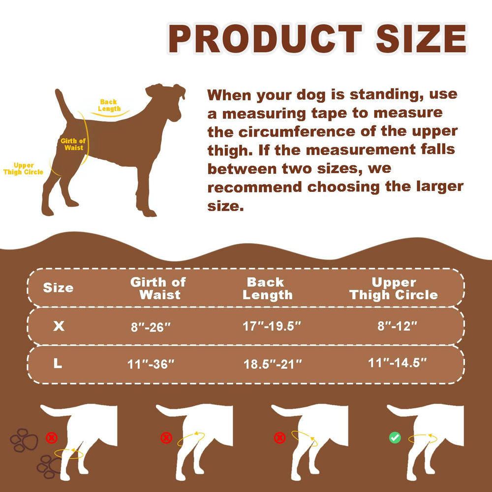 Dollephi genou pour chien, utilisation facile et pratique en voyage