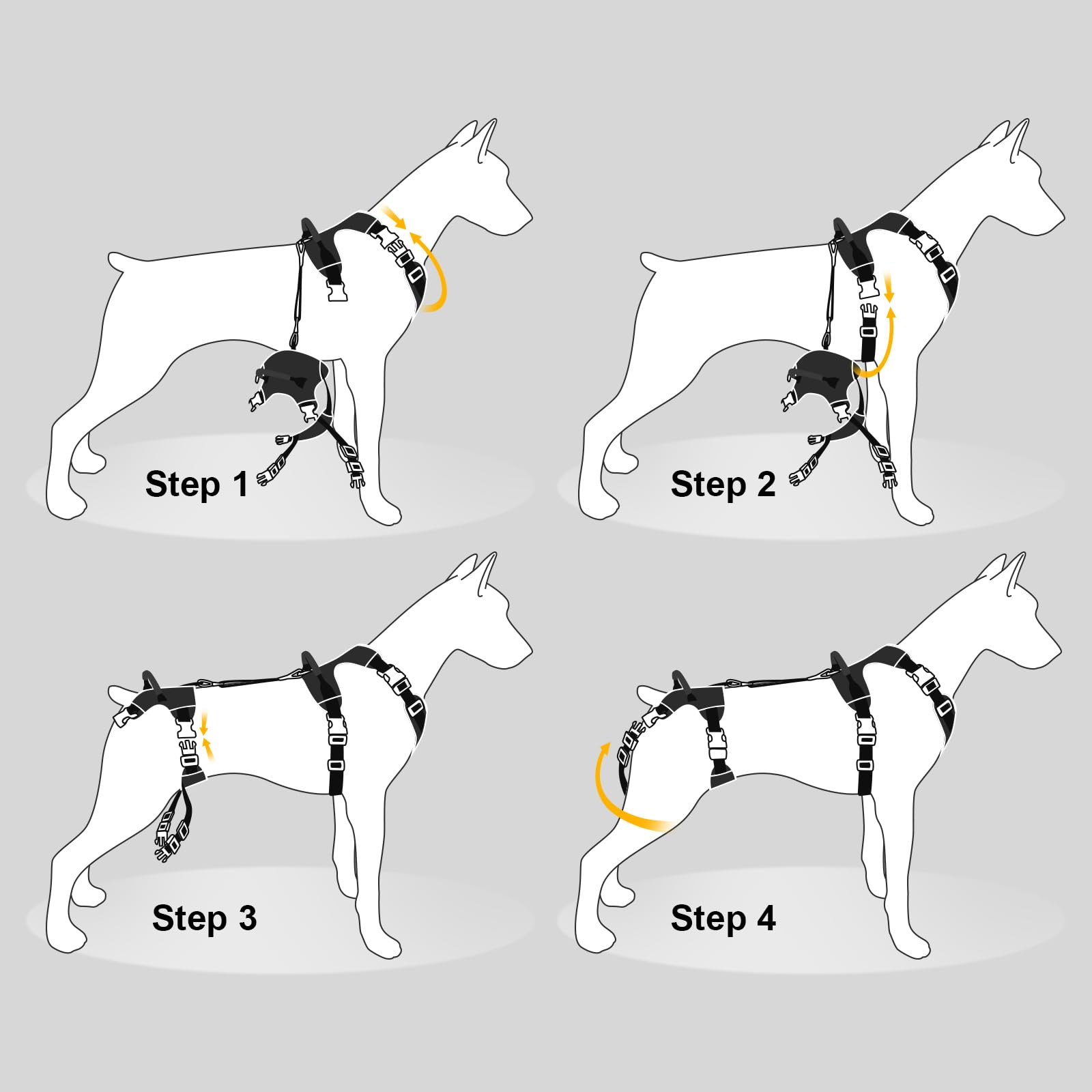 Guide des tailles Dollephi pour un ajustement sûr et confortable.