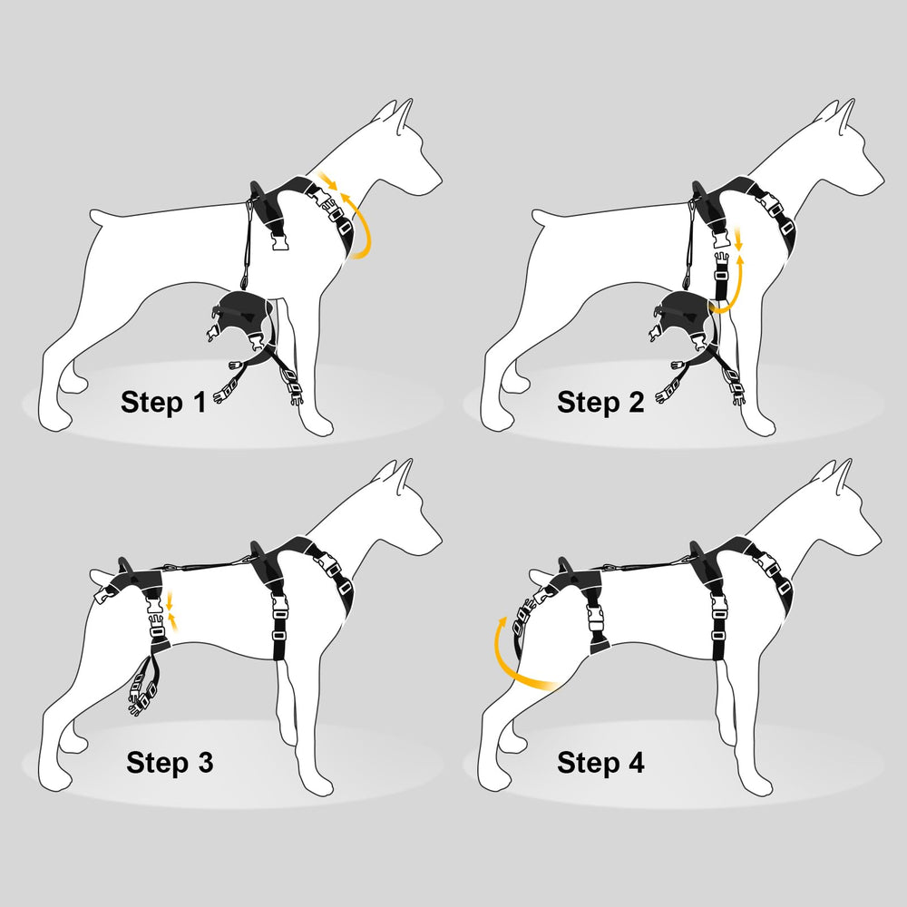 Guide des tailles Dollephi pour un ajustement sûr et confortable.