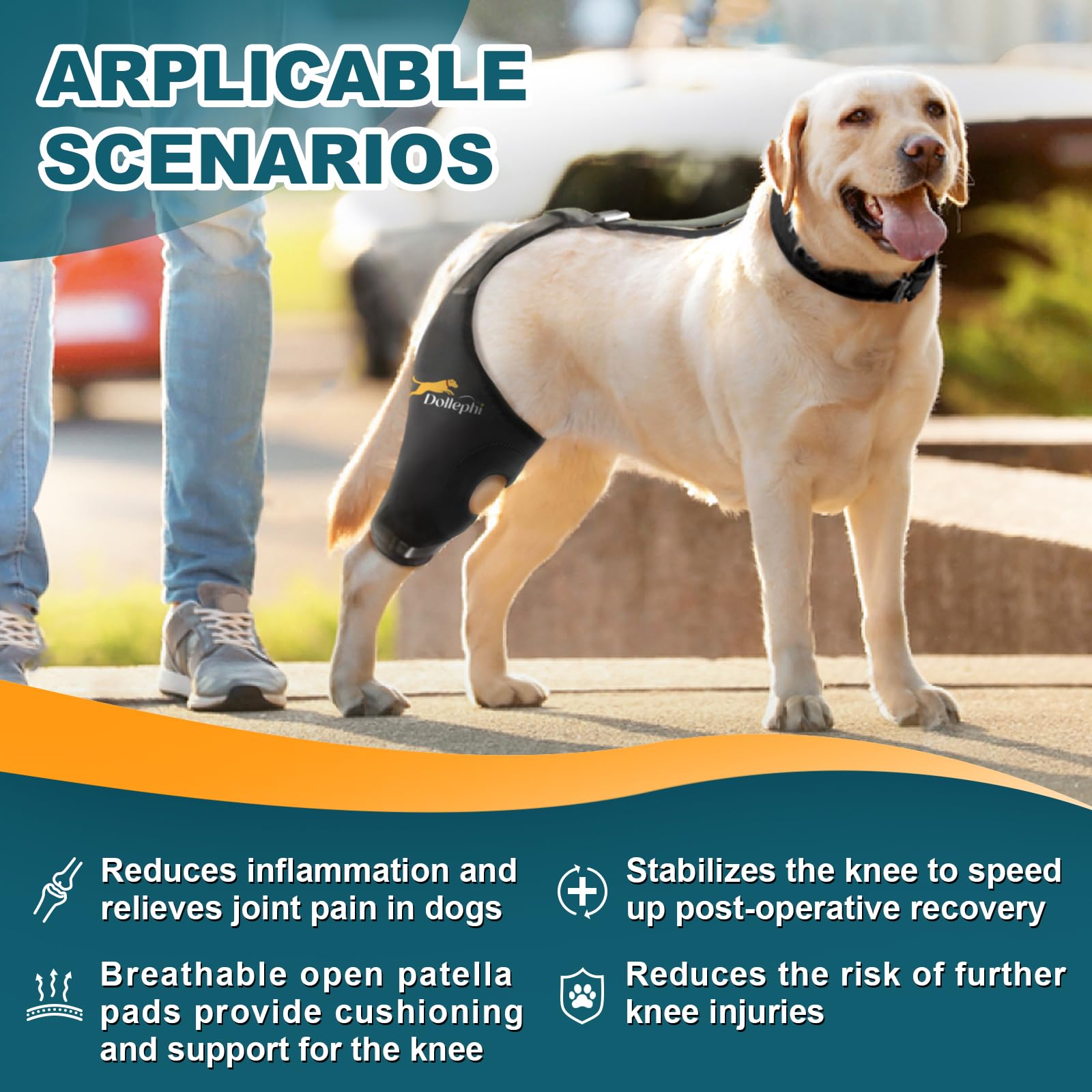 Dollephi neoprene respirable genou chien, confort léger pour un port quotidien.