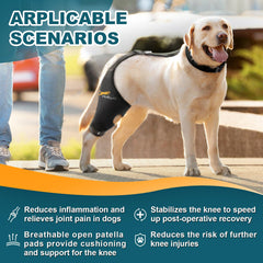 Dollephi neoprene respirable genou chien, confort léger pour un port quotidien.