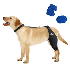 Orthèse genou chien Dollephi avec airbag – maintien ciblé lors de la promenade.