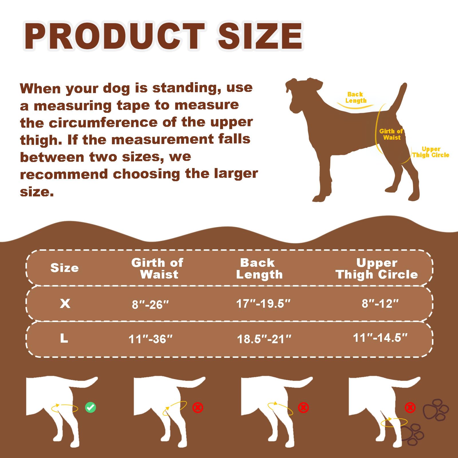Orthèse genou chien Dollephi – guide des tailles pour un ajustement précis.