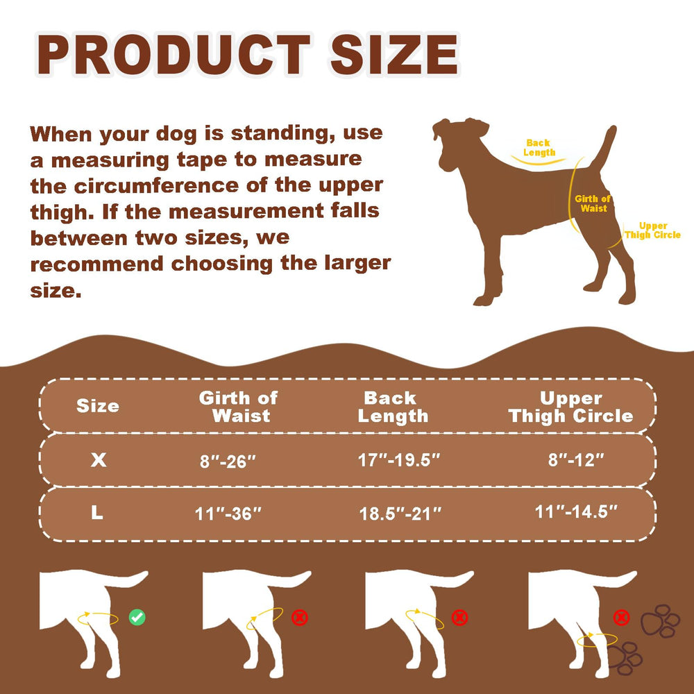 Orthèse genou chien Dollephi – guide des tailles pour un ajustement précis.