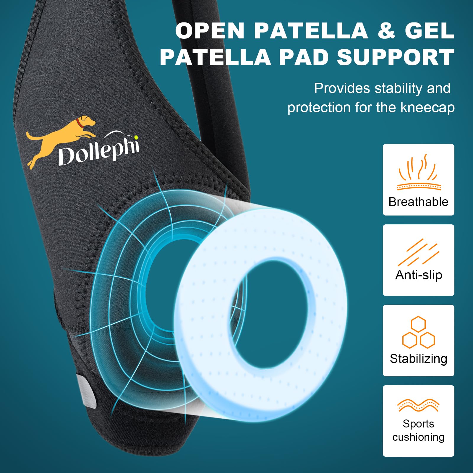 Dollephi poser genou chien facile, application rapide et pratique.