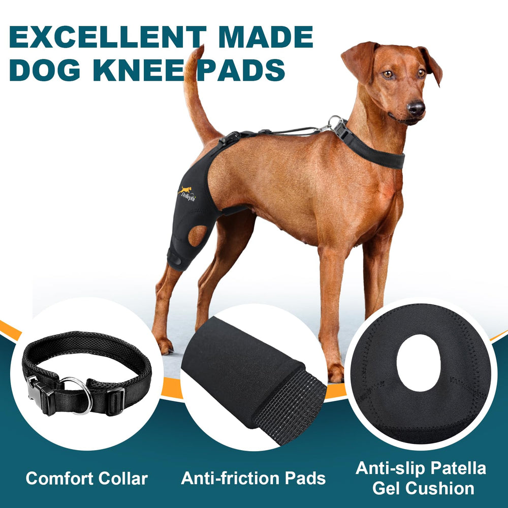 Dollephi wrap 360 genou chien, répartition uniforme de la pression.