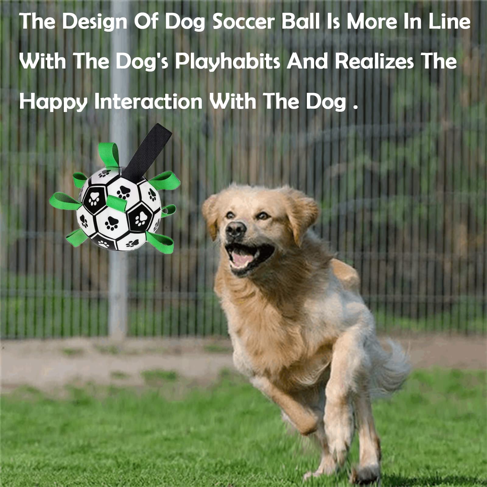 Domchan ballon-football, cadeau idéal pour anniversaire d’un chien actif.