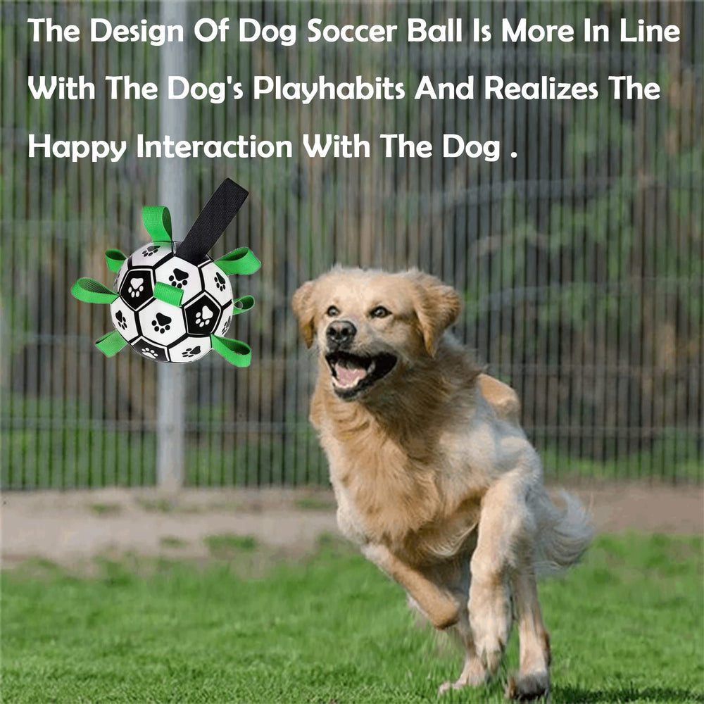 Domchan ballon-football, cadeau idéal pour anniversaire d’un chien actif.
