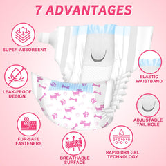 Fixations réattachables Dono pour ajustement rapide et sûr