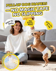 Dono Couches pour Chien Femelle: absorption rapide.