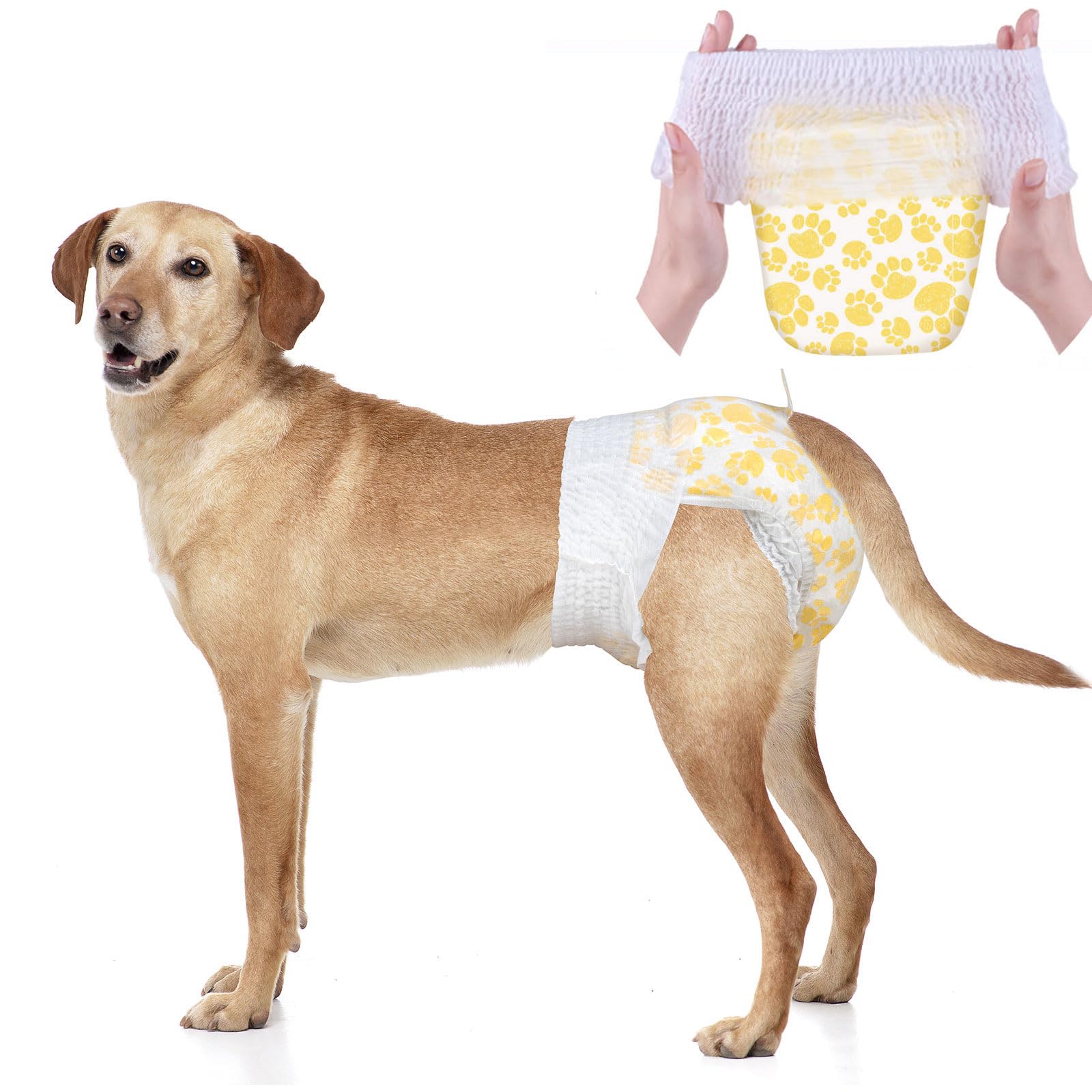 Dono Couches pour Chien Femelle: ceinture élastique pour ajustement sûr.