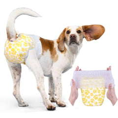 Couches Dono pour chien femelle avec ajustement élastique pour un maintien sûr.