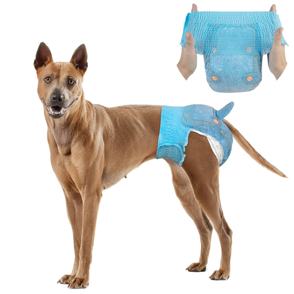 Dono couches chien femelle, design pour enfiler par le haut et maintien sûr.