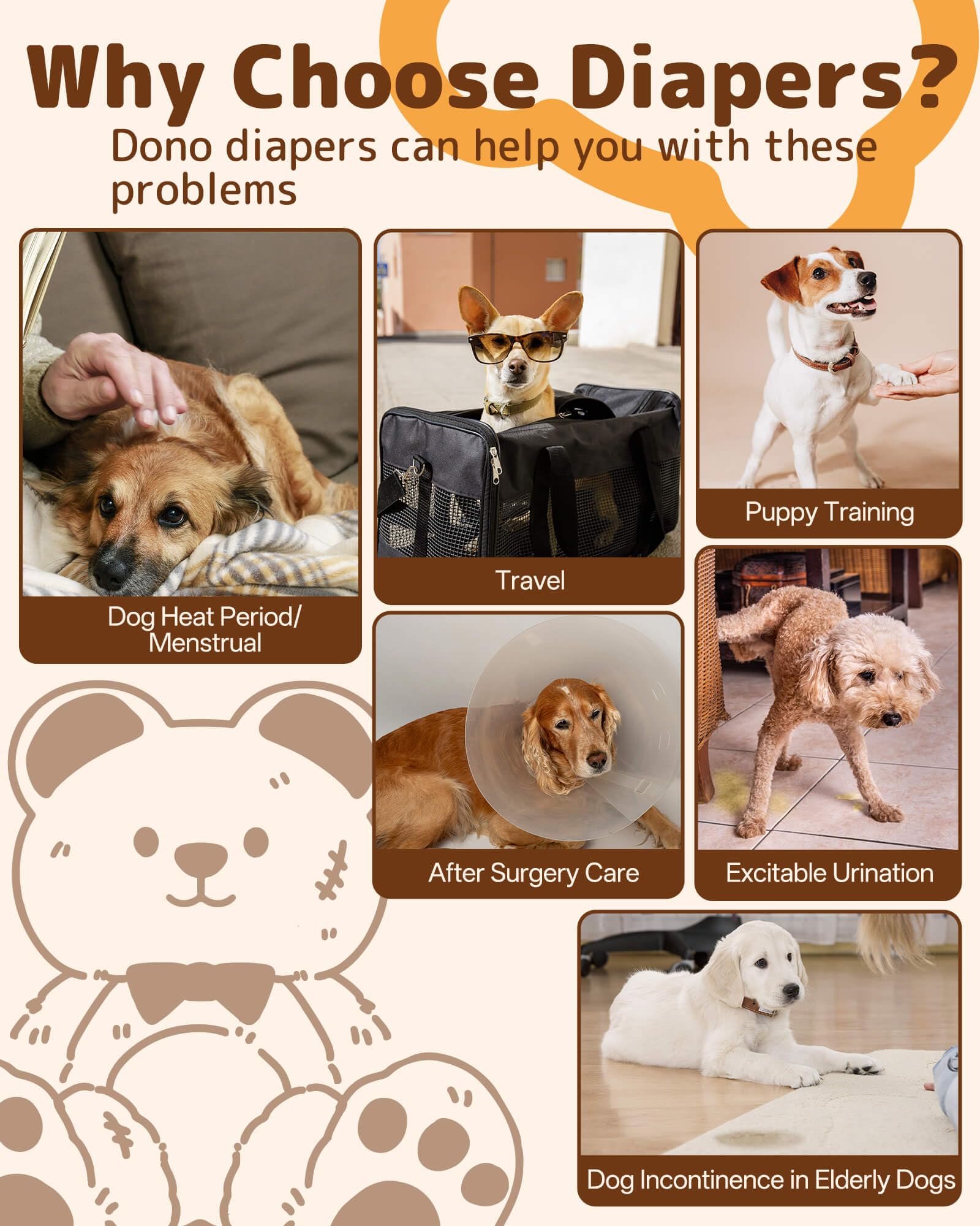 Utilisation quotidienne pratique pour petits à moyens chiens Dono