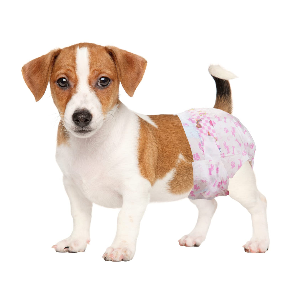 Couches jetables Dono pour chien femelle, petite taille, confort et ajustement sûr.