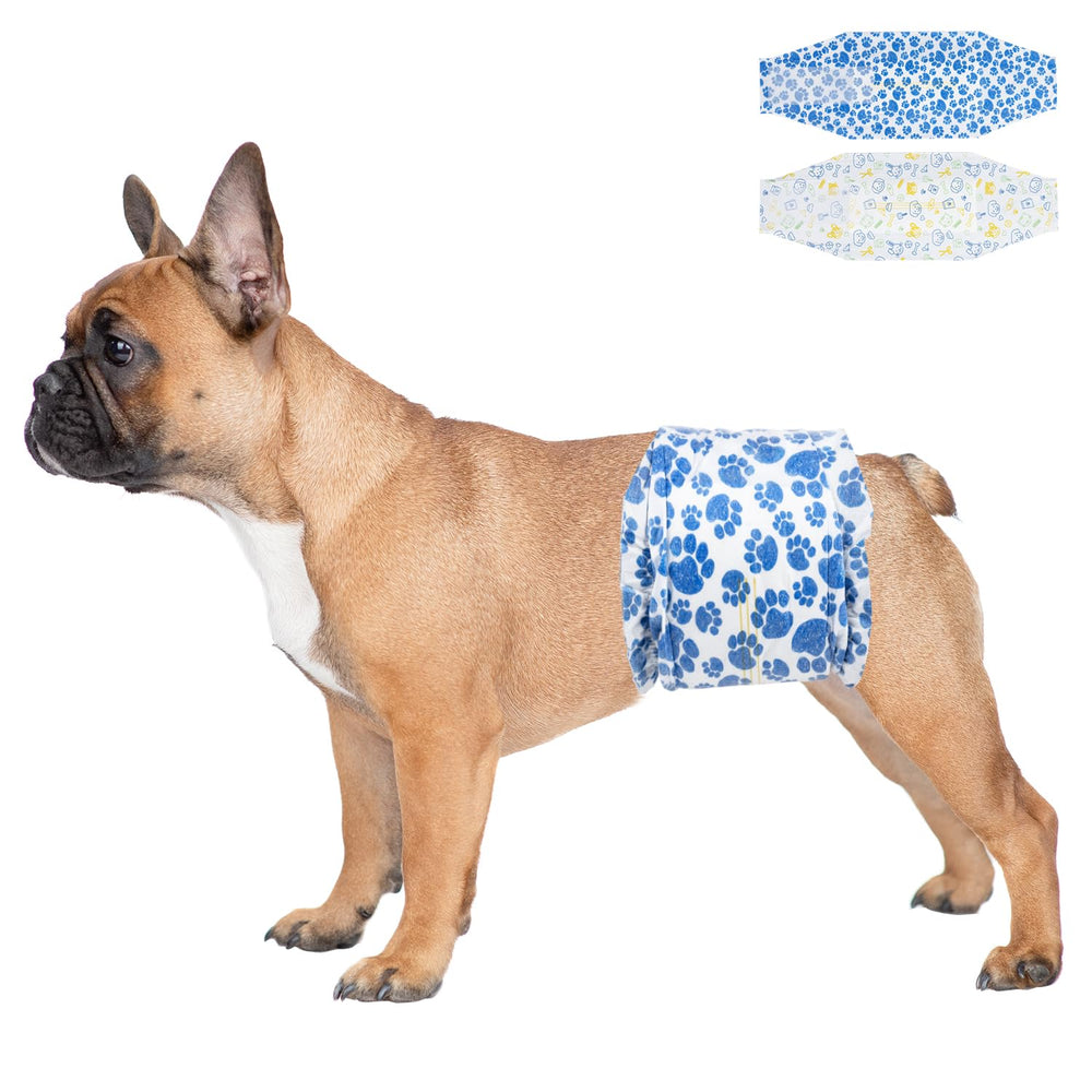 Dono, design bleu-pattes pour chien, confort et style au quotidien.