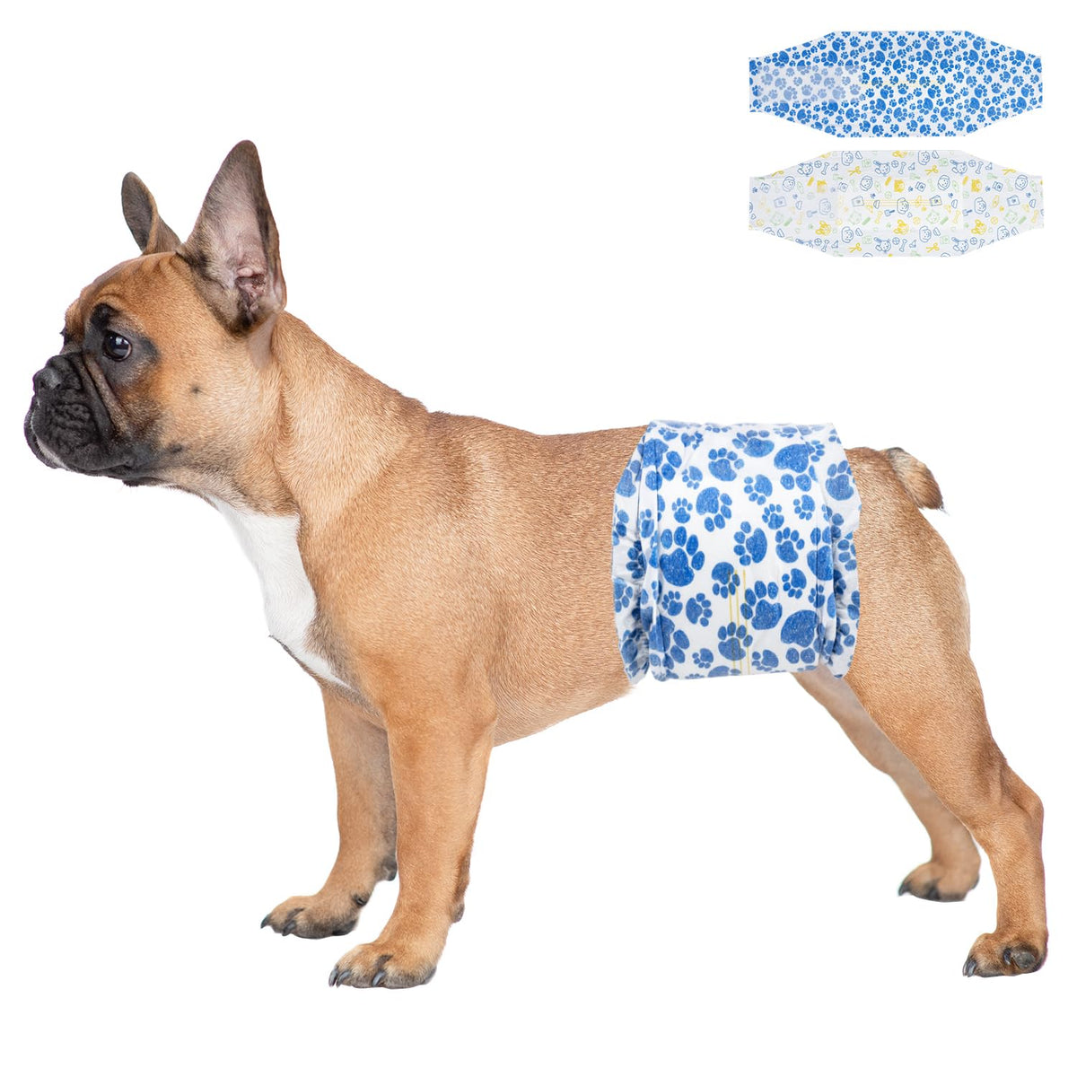Dono, design bleu-pattes pour chien, confort et style au quotidien.