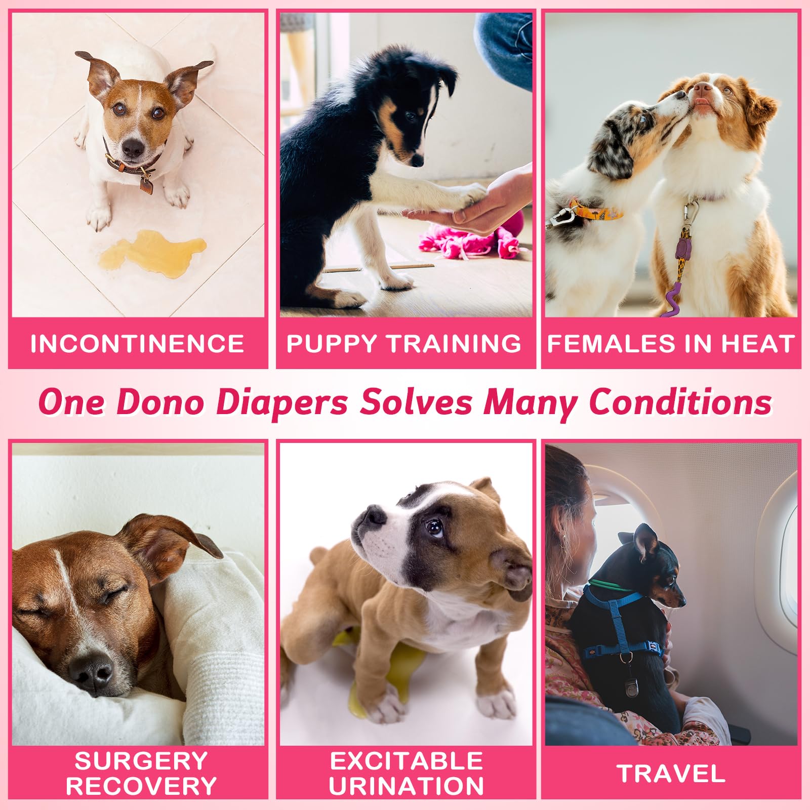 Ensemble Dono, 32 couches pour chiens et chats, pratique en voyage.