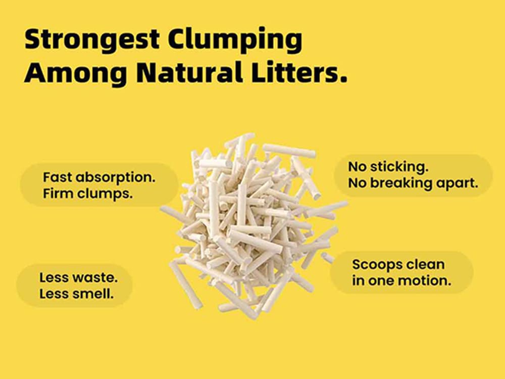 DOOBIT Litière au tofu naturelle - confort pour chats sensibles et pattes propres.