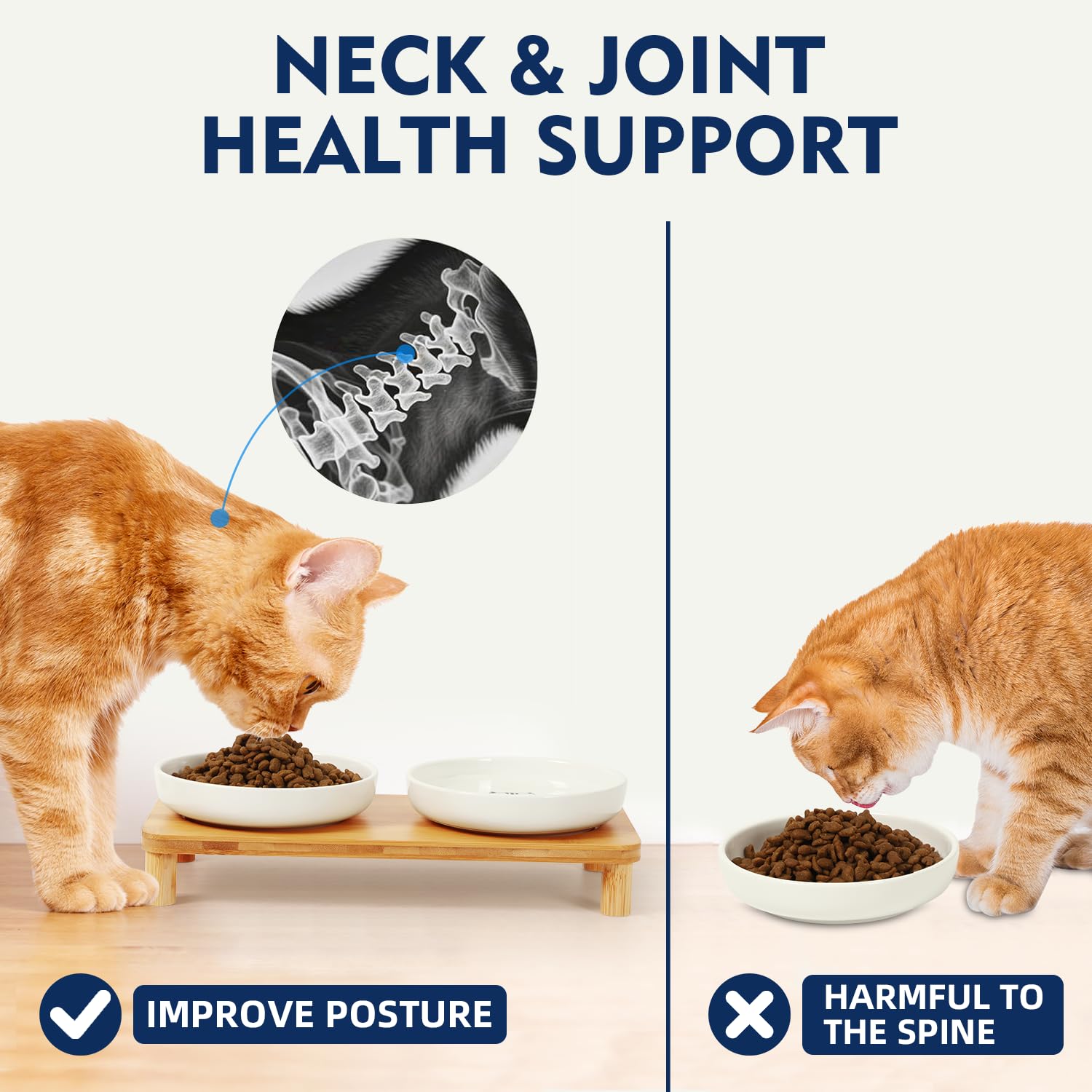 Base DoogCat à quatre pieds assurant une stabilité optimale.