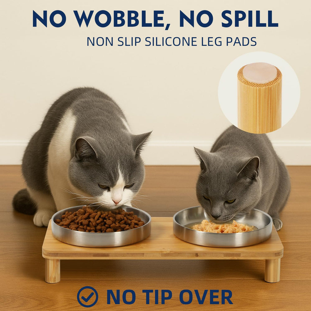 DoogCat bols inox doubles pour repas propres et hygiéniques.