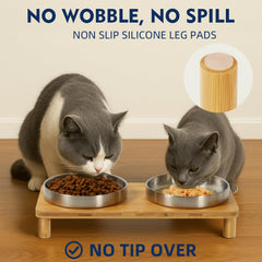 DoogCat bols inox doubles pour repas propres et hygiéniques.