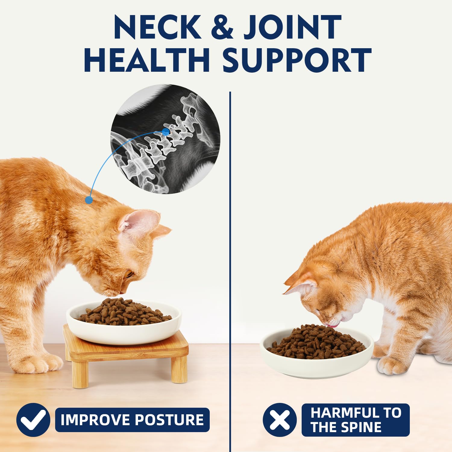 DoogCat design-anti-fatigue-moustaches: conception favorisant une posture confortable.