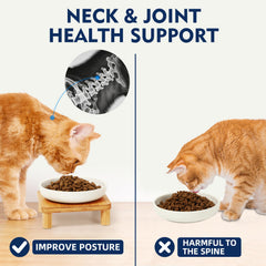 DoogCat design-anti-fatigue-moustaches: conception favorisant une posture confortable.