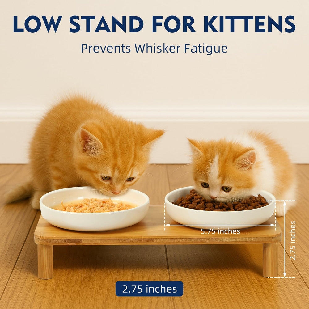 Hauteur réglable DoogCat 10,8 cm et 7,8 cm pour une posture idéale.